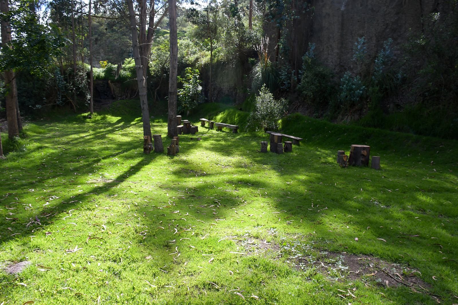 Bosque de la hacienda