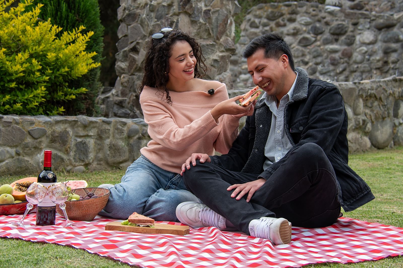 Picnic en el césped