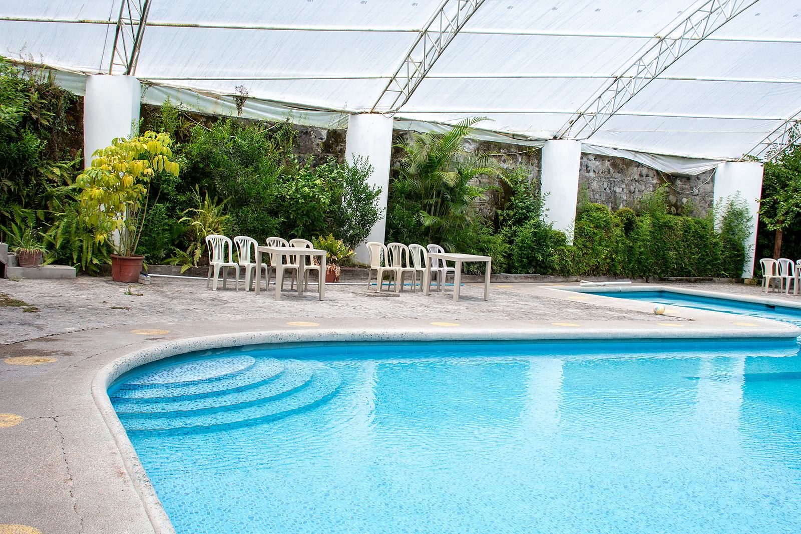 Piscina al aire libre entre los jardines