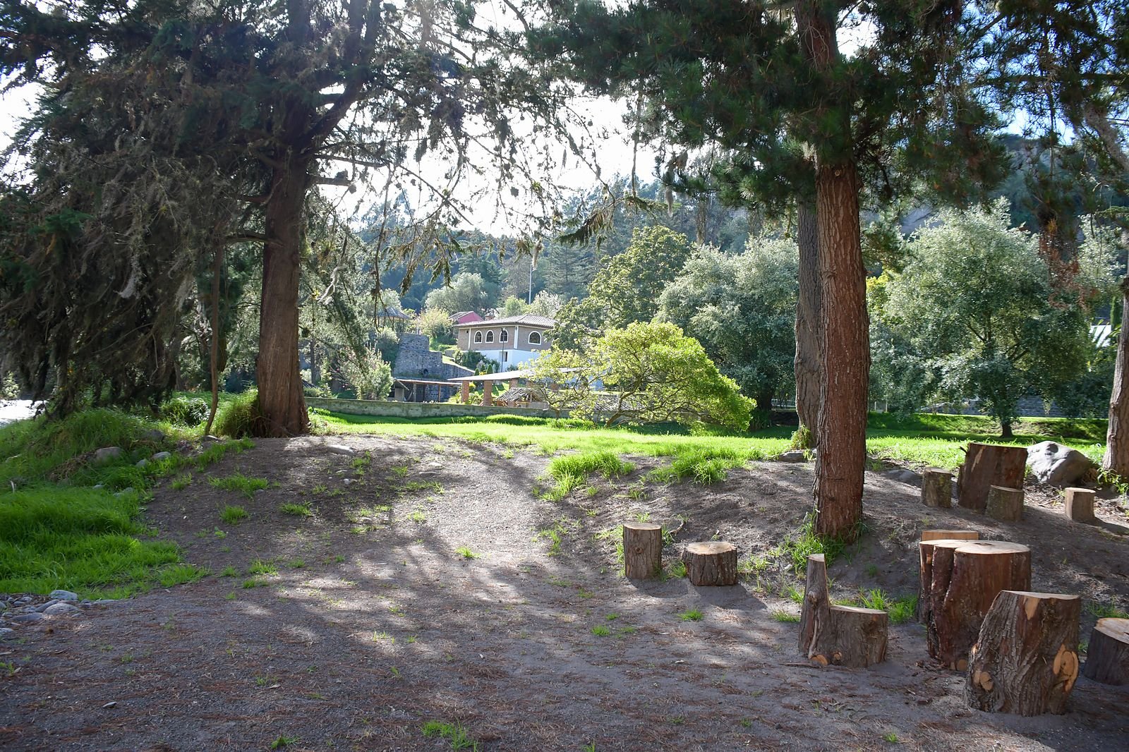 Mesas de tronco bajo los árboles