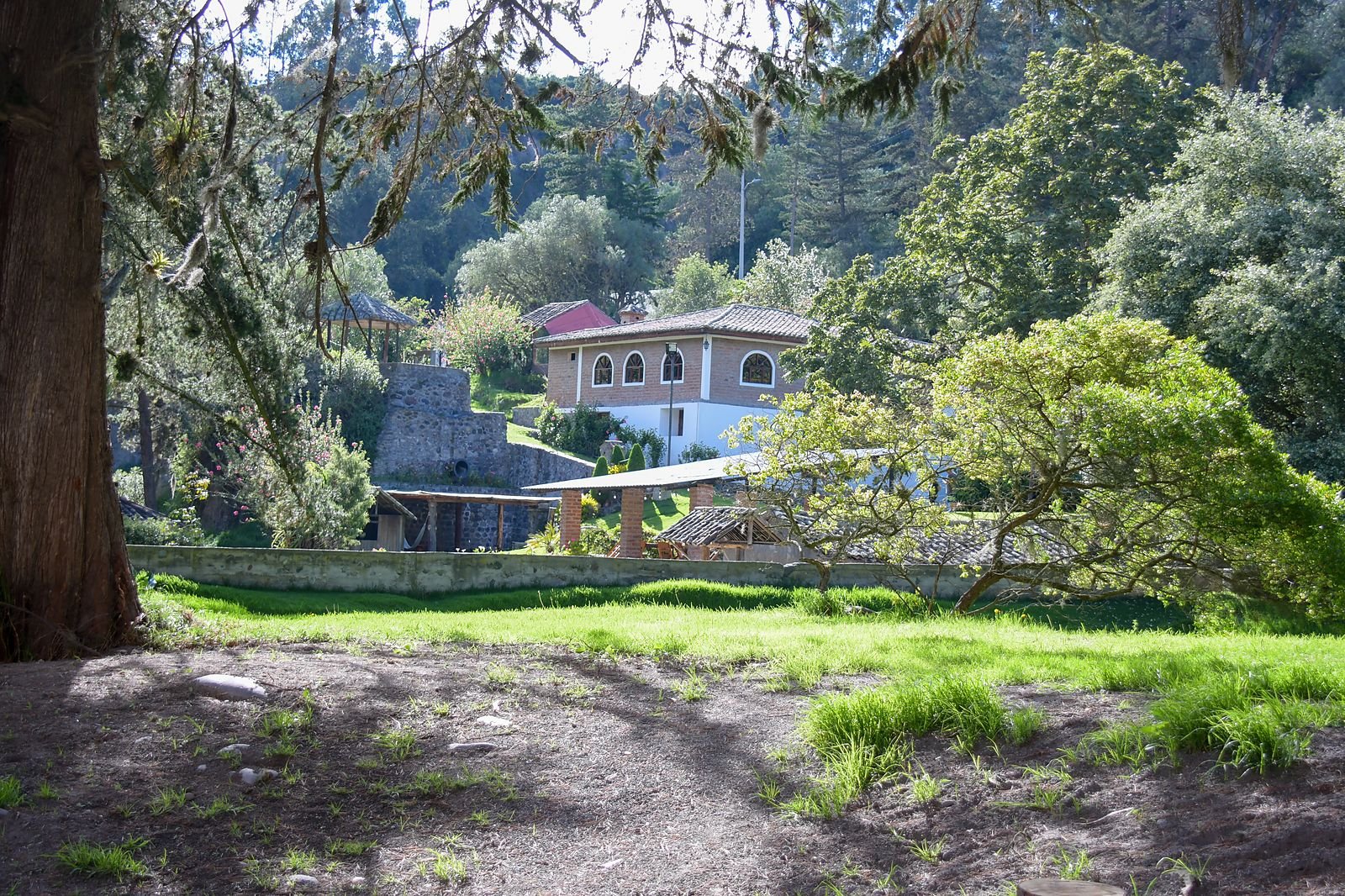 Árboles antiguos de la hacienda